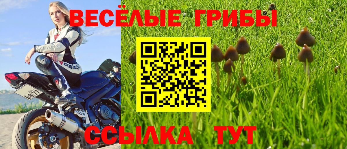Галлюциногенные грибы прущие грибы Ачинск